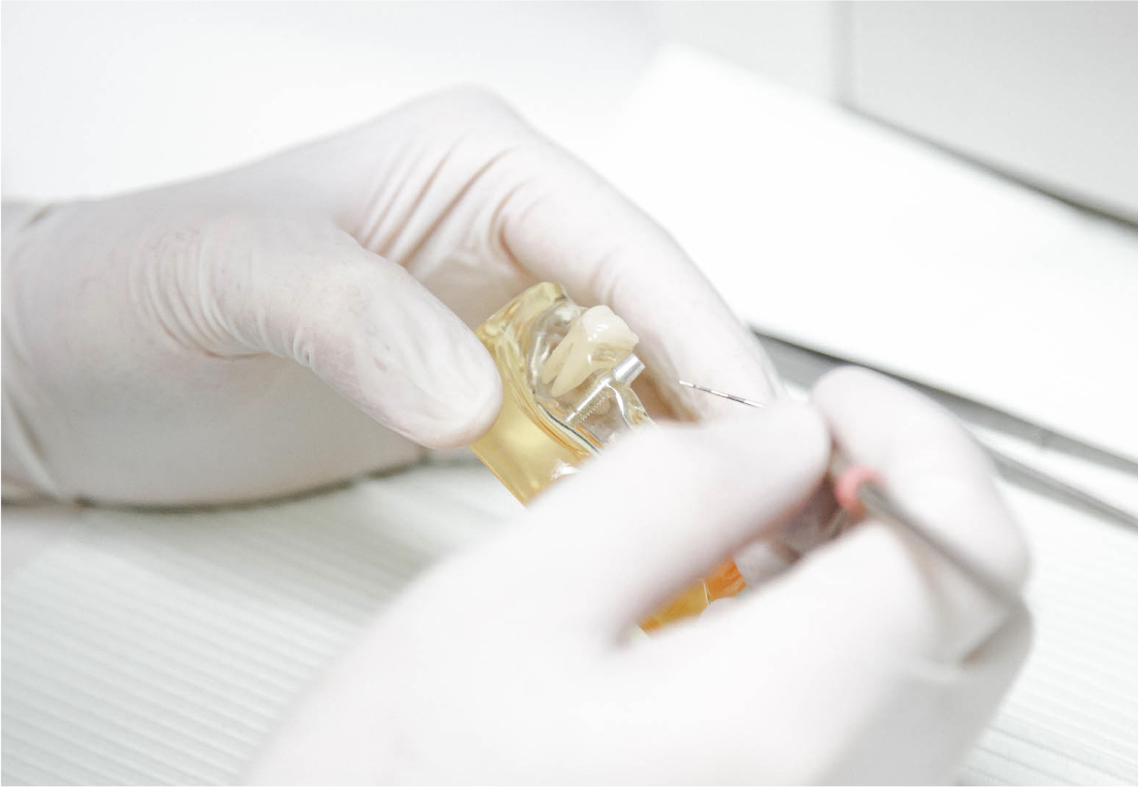 dentist examining a teeth model