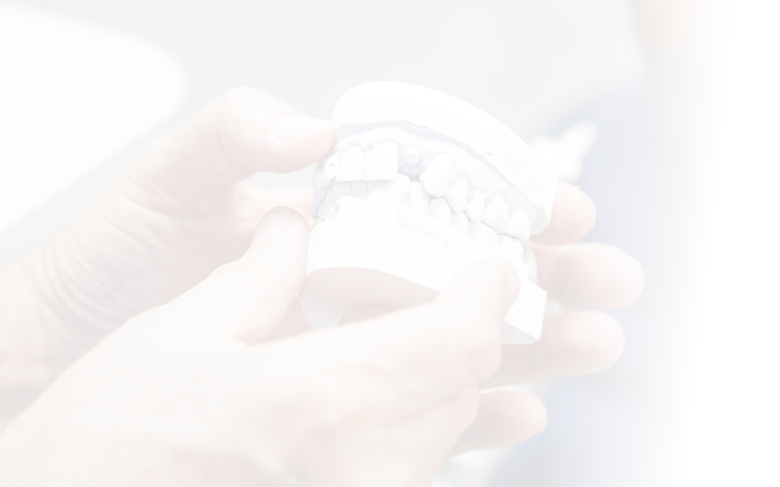 dental teeth model