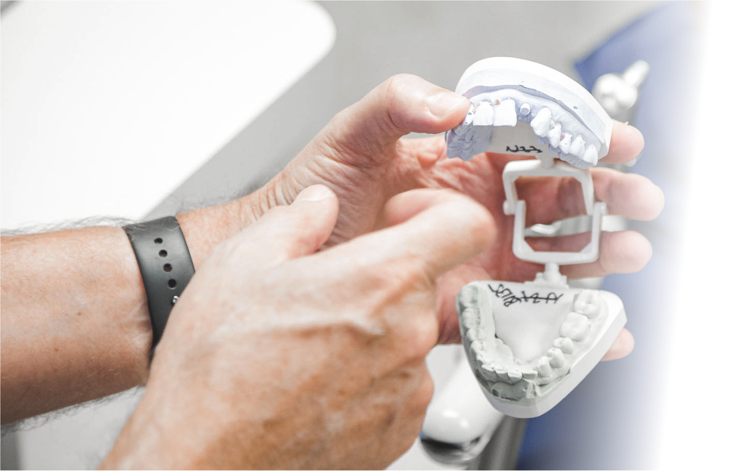 hands holding a dental teeth model